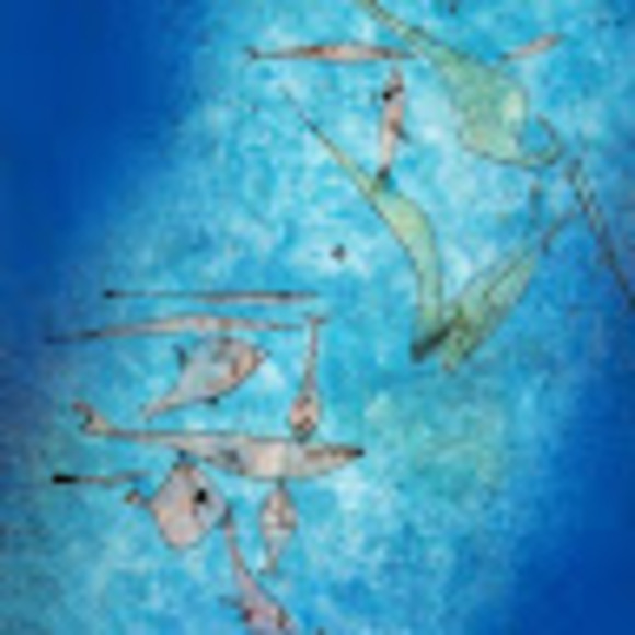 Meet your Posher, Barbara - Picture 1 of 1